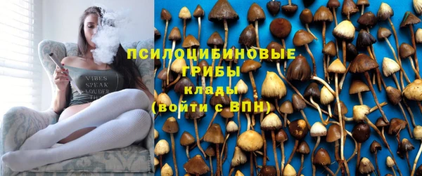 дурь Пересвет