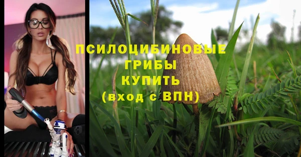 MDMA Premium VHQ Переславль-Залесский