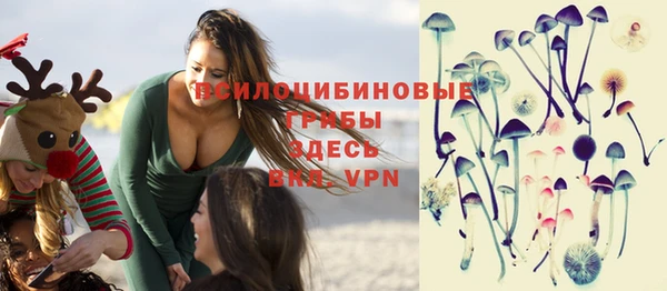 дурь Пересвет
