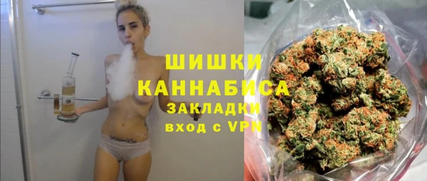 дурь Пересвет